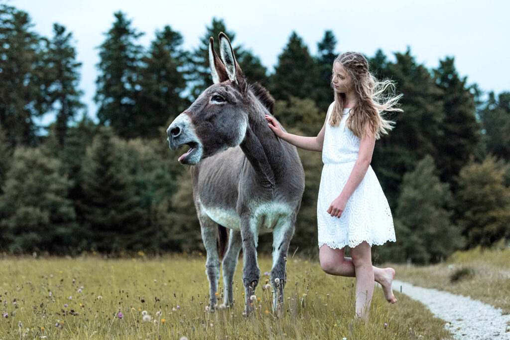 Eselfotoshooting Felicitas Frädrich Esel Fotografie