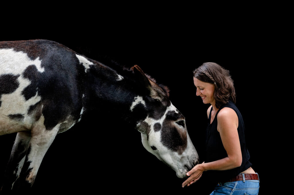 Eselfotoshooting_Felicitas_Frädrich_Fotografie