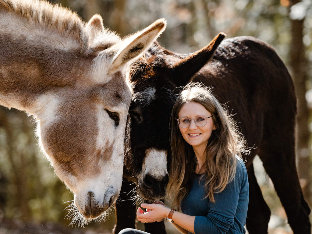 Felicitas Frädrich Eselfotografie