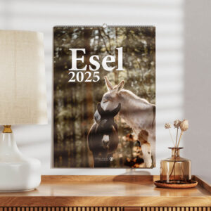 Esel 2025 – Wandkalender