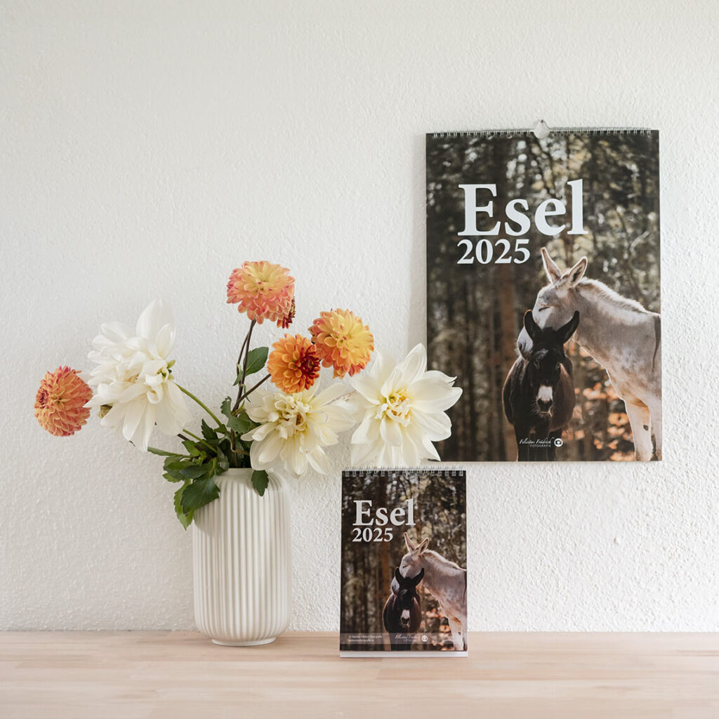 Eselkalender 2025