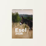 Wandkalender Esel 2026