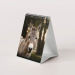 Esel 2026 - Der Tischkalender für alle Eselfans - Februar