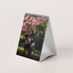 Esel 2026 - Der Tischkalender für alle Eselfans - März