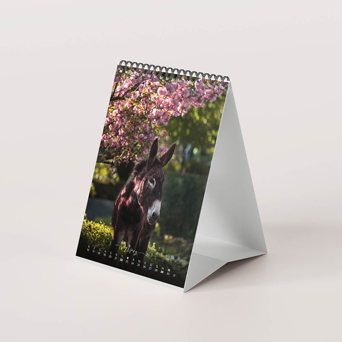 Esel 2026 - Der Tischkalender für alle Eselfans - März