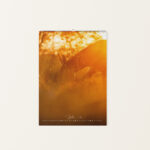 Wandkalender Esel 2026 - Juli