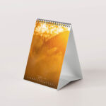 Esel 2026 - Der Tischkalender für alle Eselfans - Juli