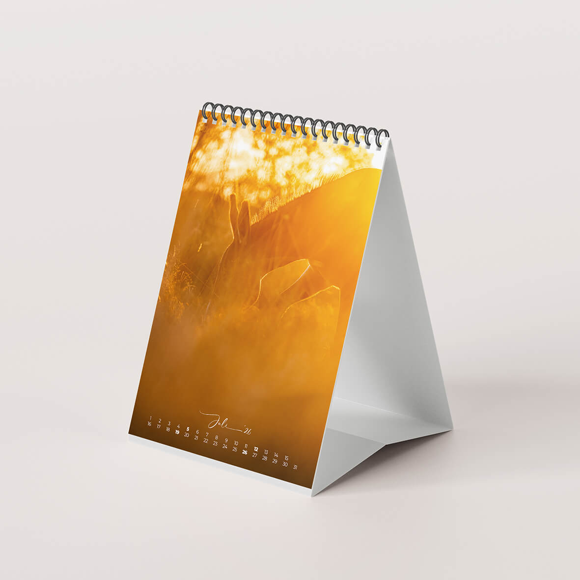 Esel 2026 - Der Tischkalender für alle Eselfans - Juli