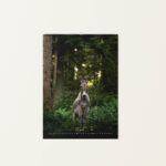 Wandkalender Esel 2026 - August