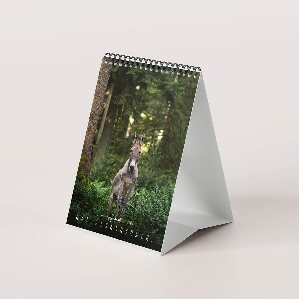 Esel 2026 - Der Tischkalender für alle Eselfans - August