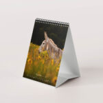 Esel 2026 - Der Tischkalender für alle Eselfans - September