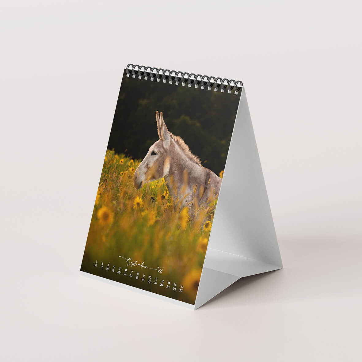 Esel 2026 - Der Tischkalender für alle Eselfans - September