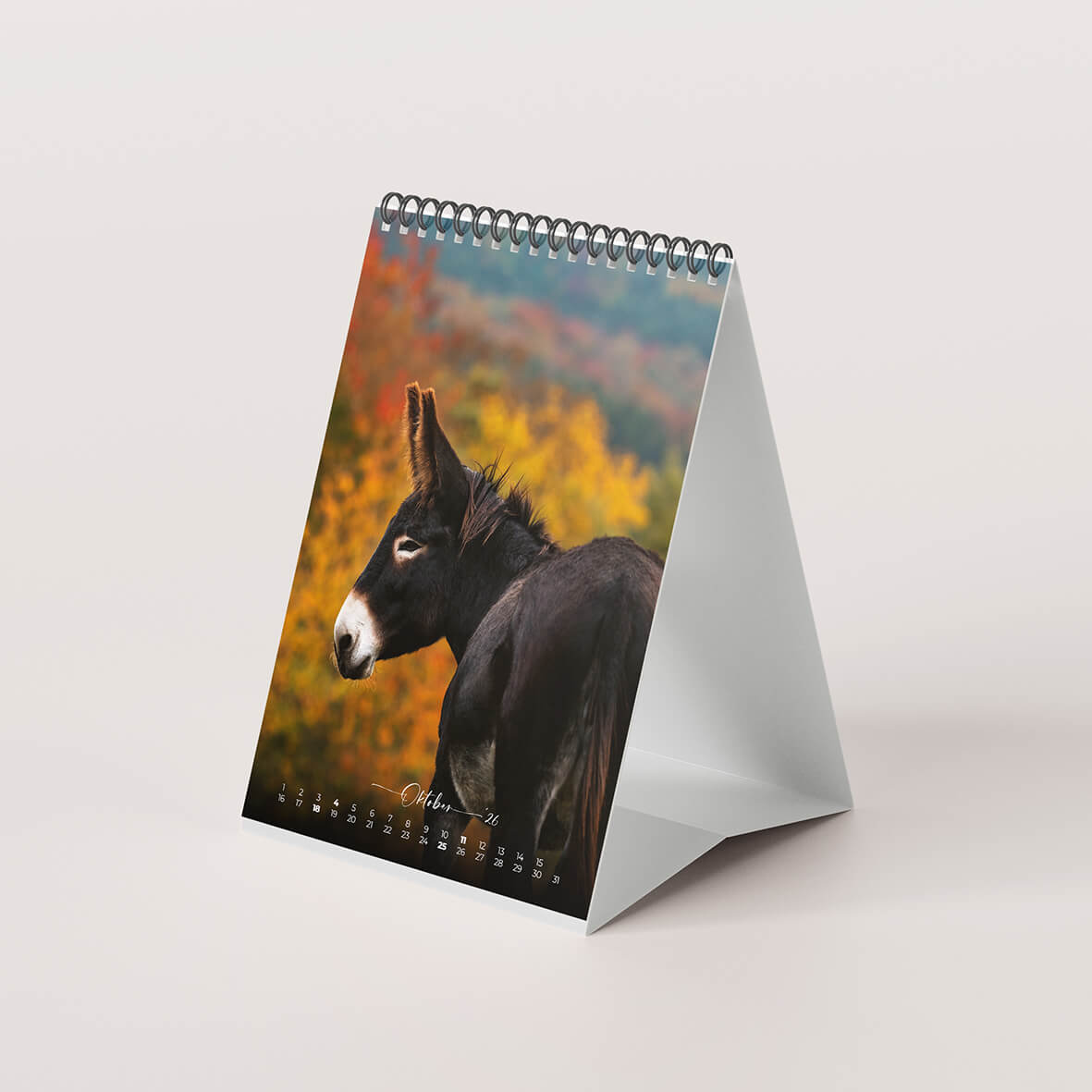 Esel 2026 - Der Tischkalender für alle Eselfans - Oktober