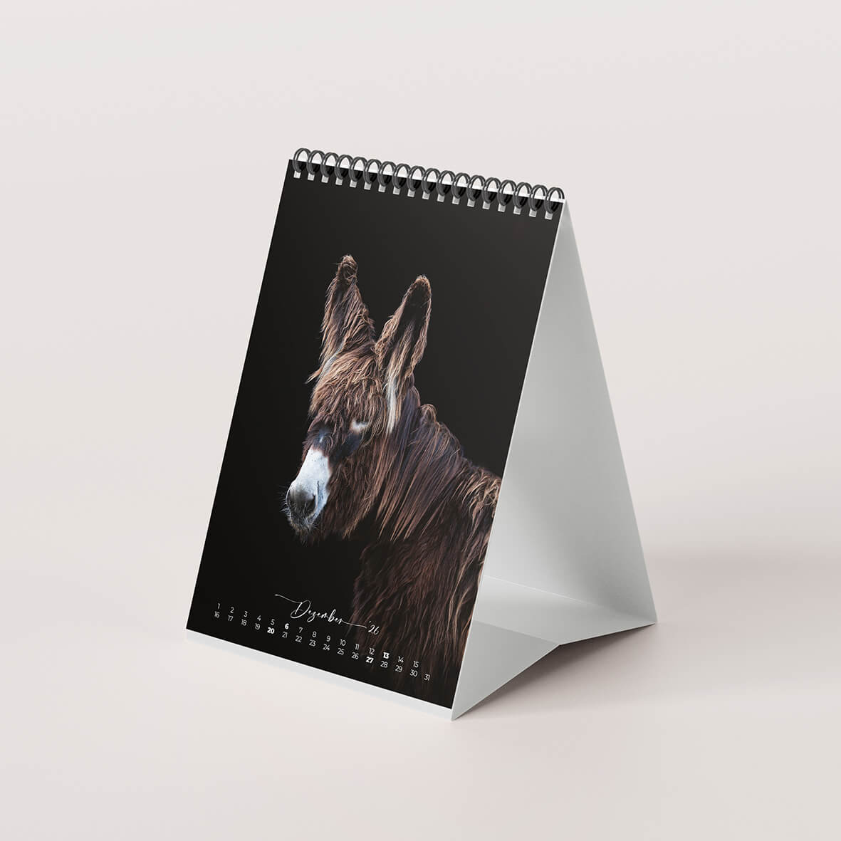 Esel 2026 - Der Tischkalender für alle Eselfans - Dezember