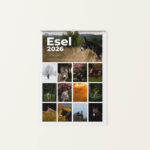 Wandkalender Esel 2026