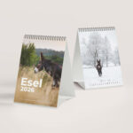 Esel 2026 - Der Tischkalender für alle Eselfans - Januar