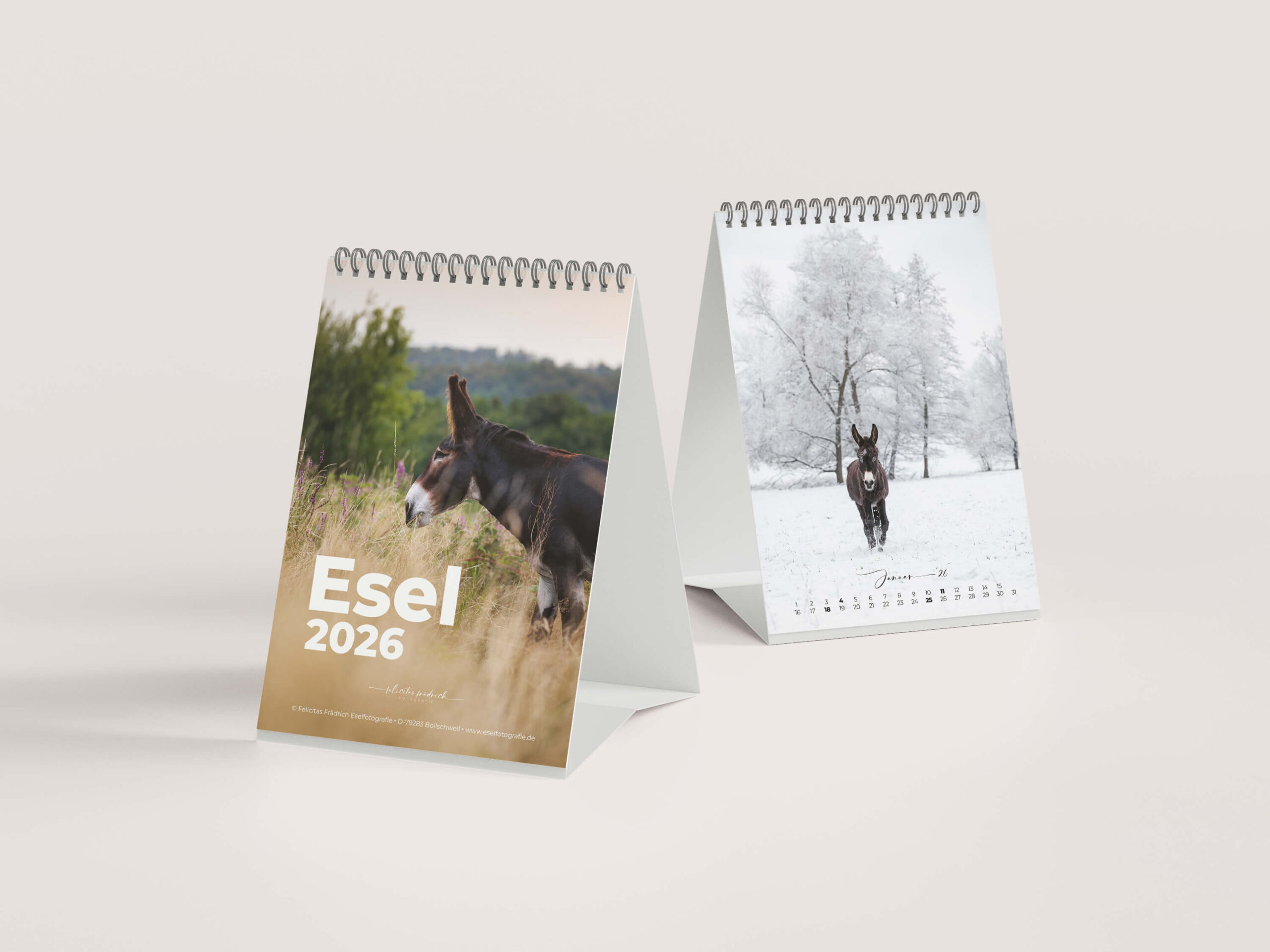 Esel 2026 - Der Tischkalender für alle Eselfans - Januar